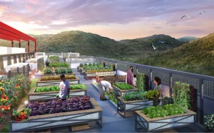 ramah-pavilion-Rooftop-Farming