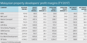 propertydevelopermargin