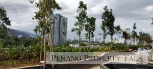 the-zen-site-progress-mar2023-3