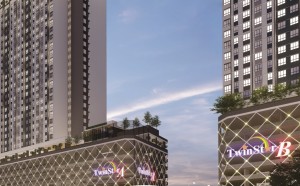 twin-star-jelutong-main