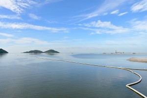 silicon-island-bridge-6