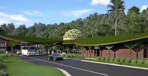 durian-valley-illustration