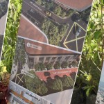 pnbcap-initiatives-7