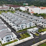 begonia-site-progress-dec2025-1